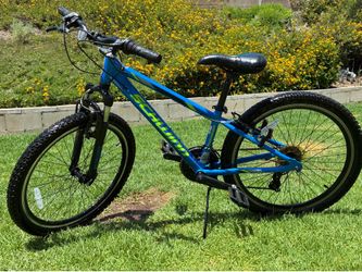 Boys 20 in Schwinn bike