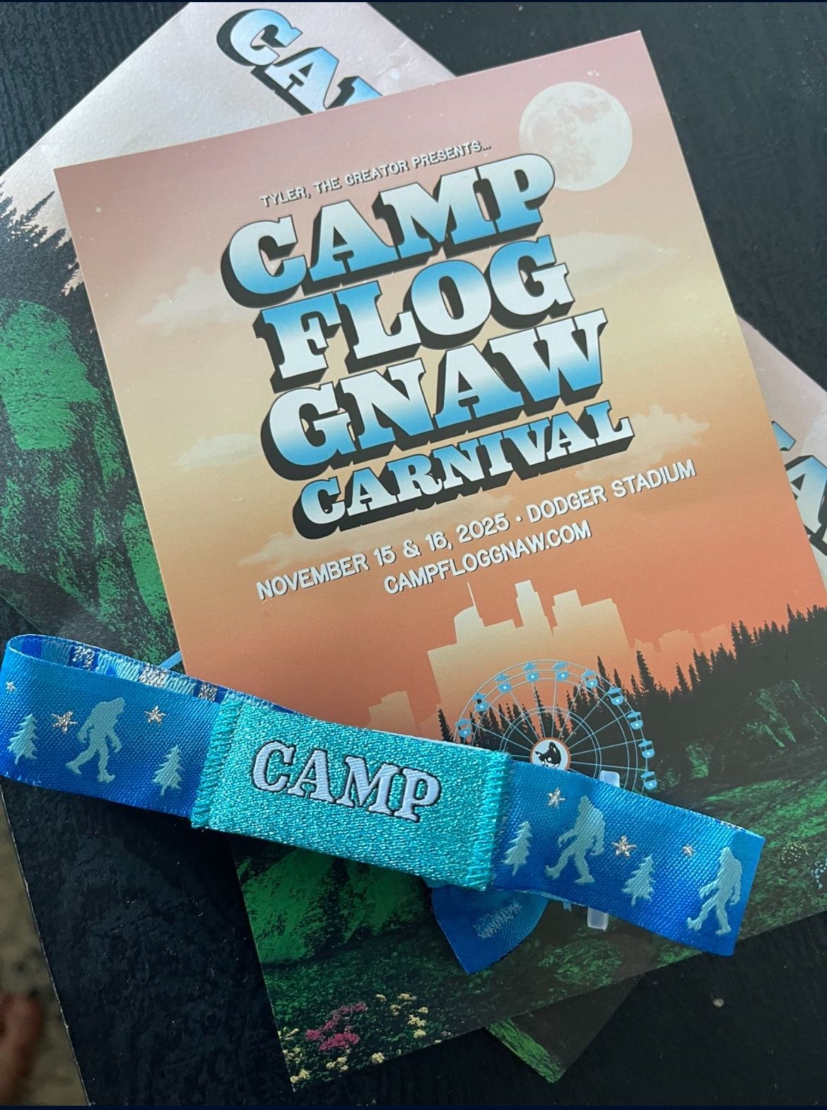 Camp Flog Gnaw GA