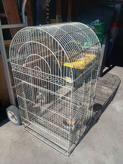 Big sturdy bird cage