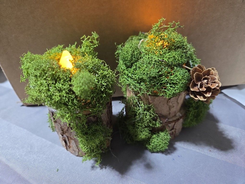 20 Moss Pinecone Votive Candles