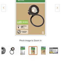 LED Pond Lights Have 4 $29.00 Each