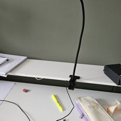 Reading Lights (Count 2)