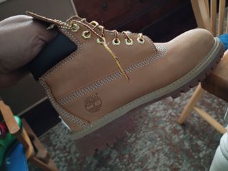 Timberland budders