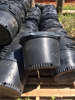 Plastic Nursery Pot For Plain