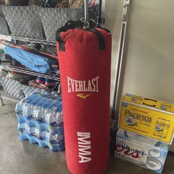 Everlast Punching Bag