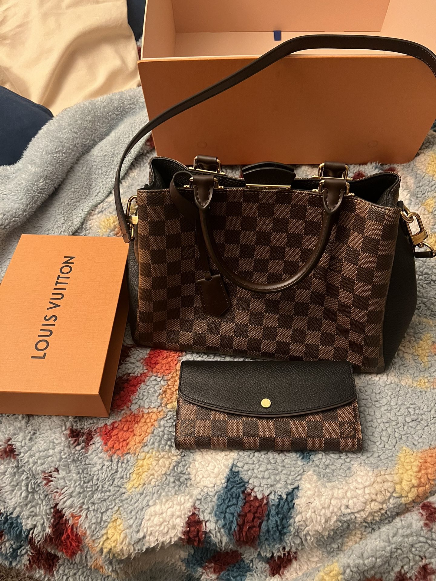 Louis Vuitton Brittany Purse and Normandy Wallet 