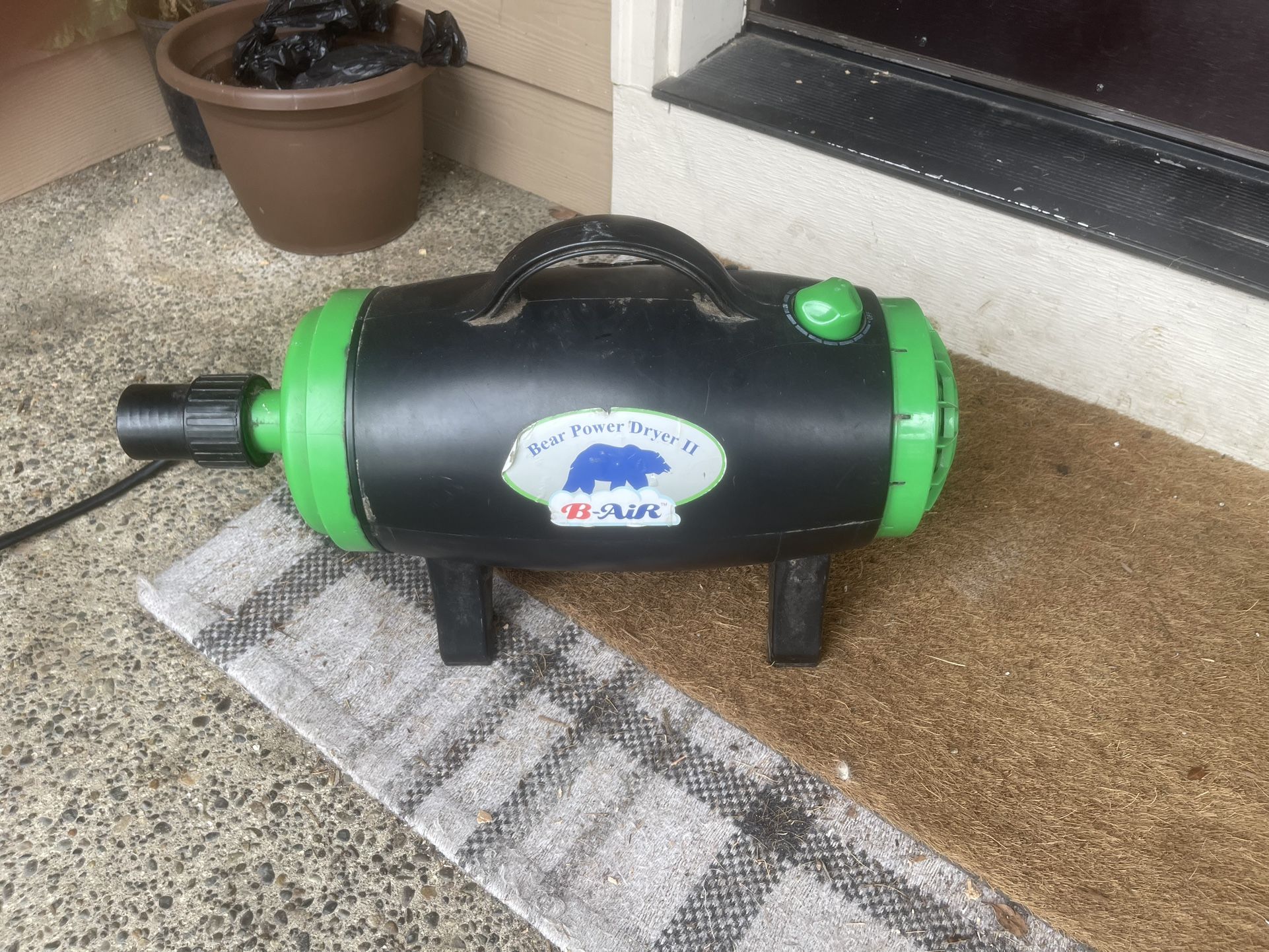 Bear Power Dryer Canine