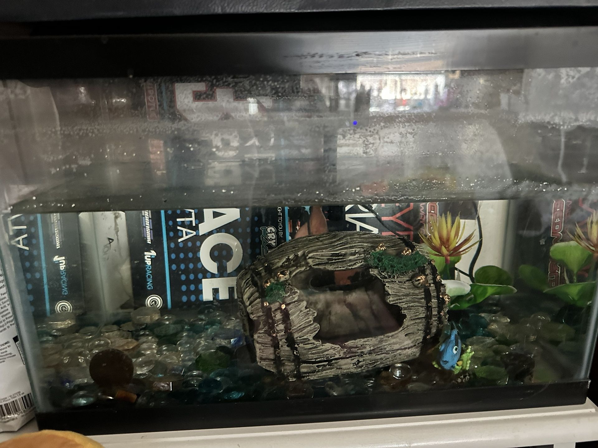 Fish Tank