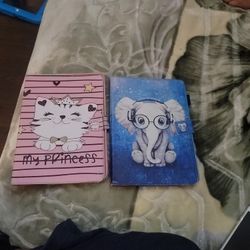 IPad Air 2 Case