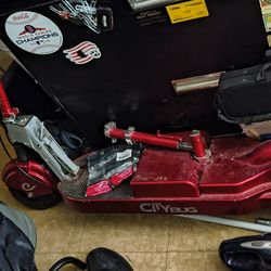 City Bug Electric Scooter 