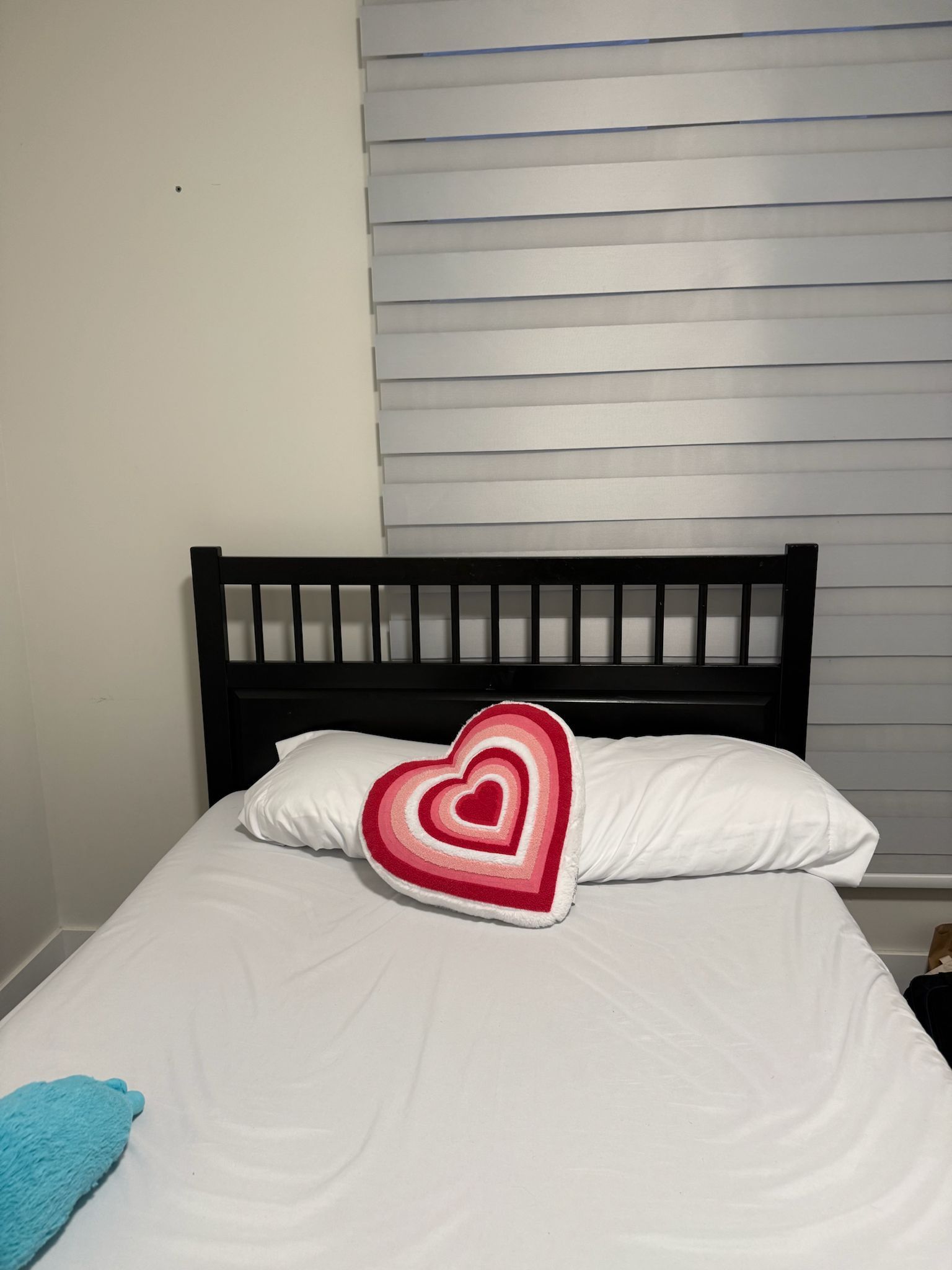 Queen Bed Frame and Mattress