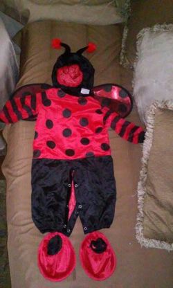 ladybug costume size medium