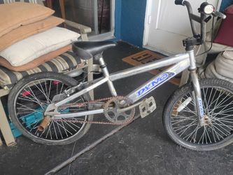 Dyno bike