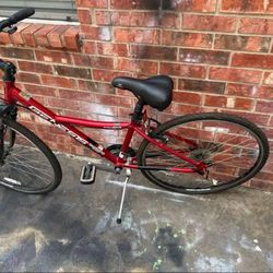 Genesis Adult Bicycle