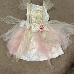Fairy Custome