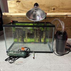 10 Gallon Fish / Turtle Tank Set Up