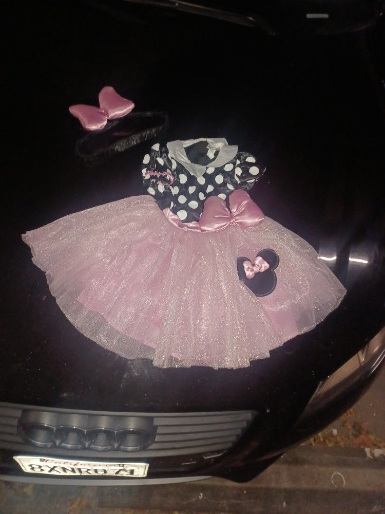 Minnie Mouse Costume