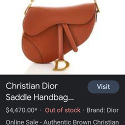 Christian Dior  -  Saddle Bag - Hand Bag 