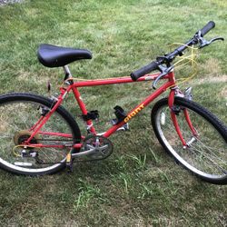 Giant Mountain Bike