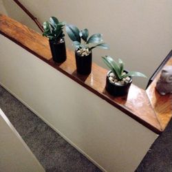 Decoración Para Baño 