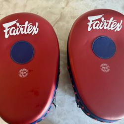 Fairtex Focus Mitts 