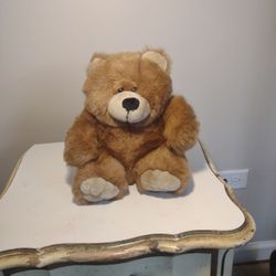 A Stuffed Bear