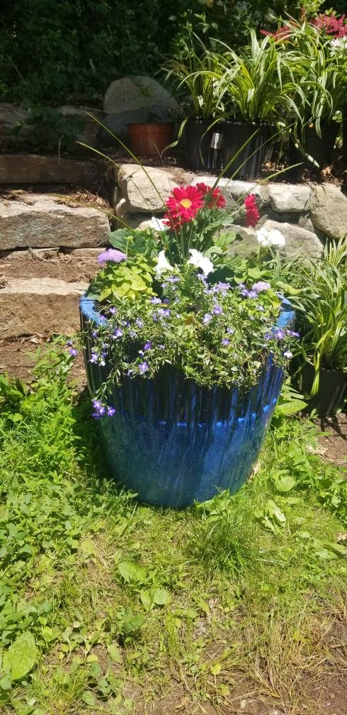 Beautiful Flower Arrangement In Ceramic  Pot