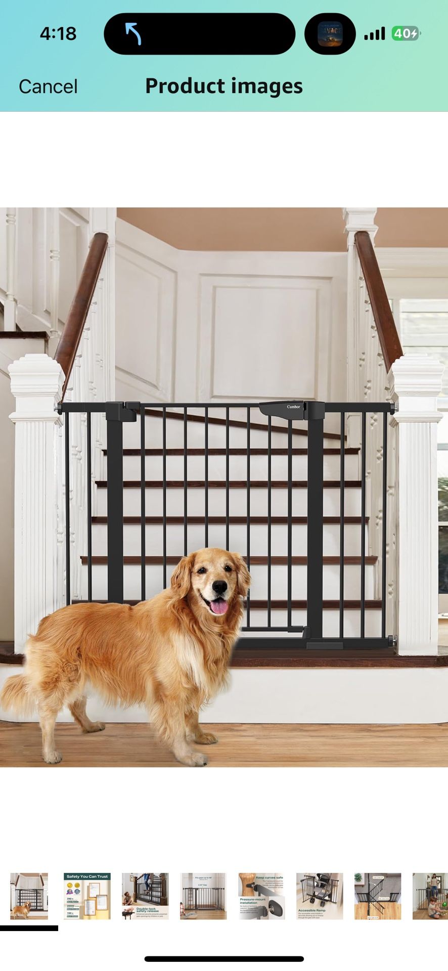 Baby or Pet Gate