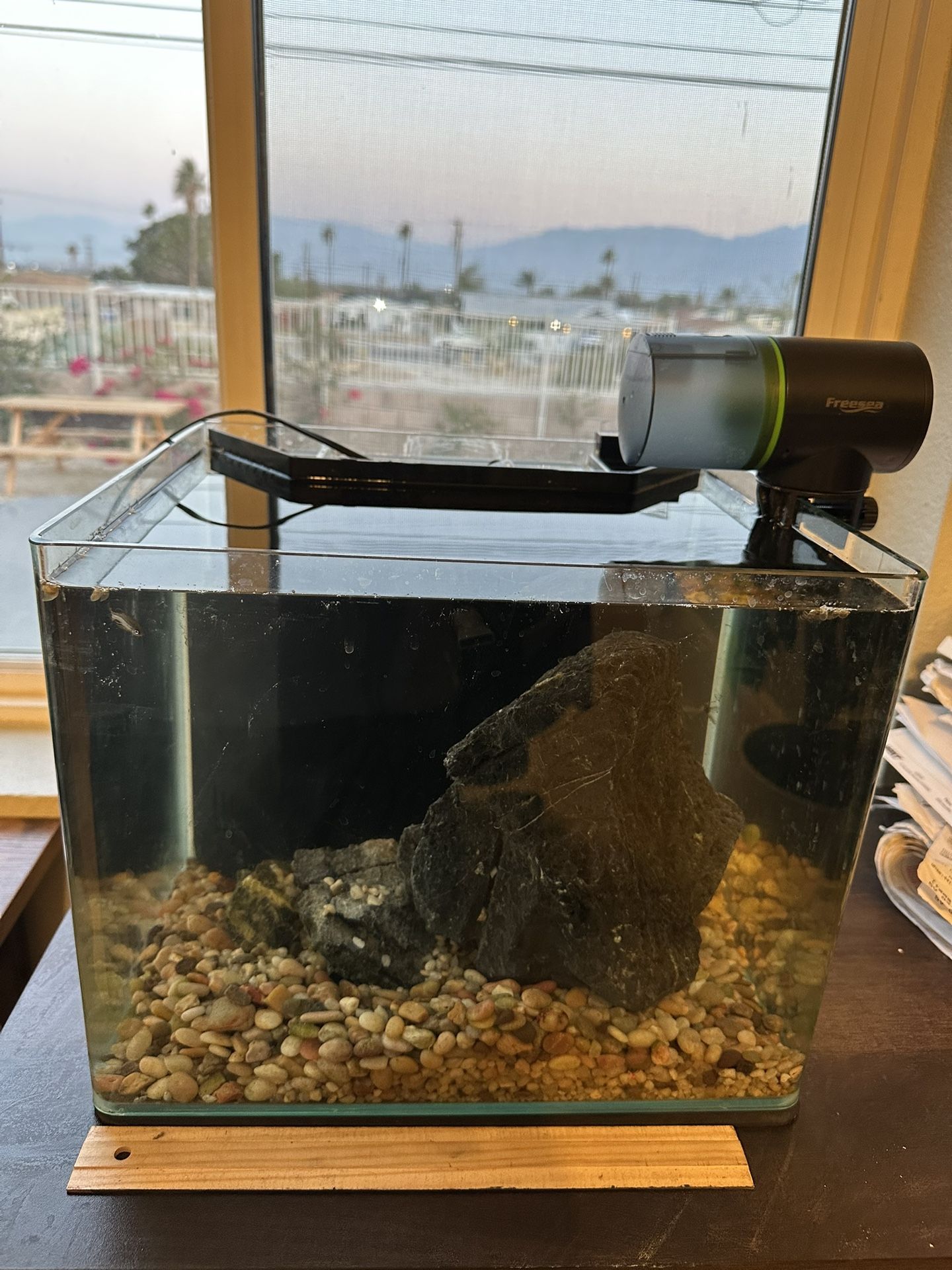 Fish Tank