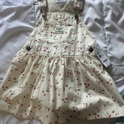 Overall Toddler Dress