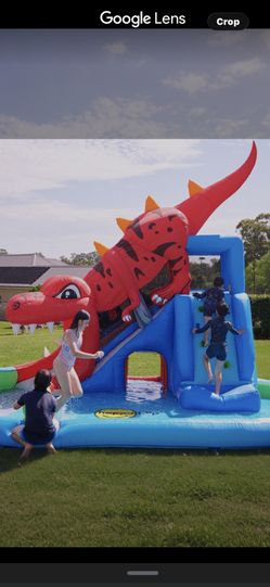 Dinosaur Water Slide