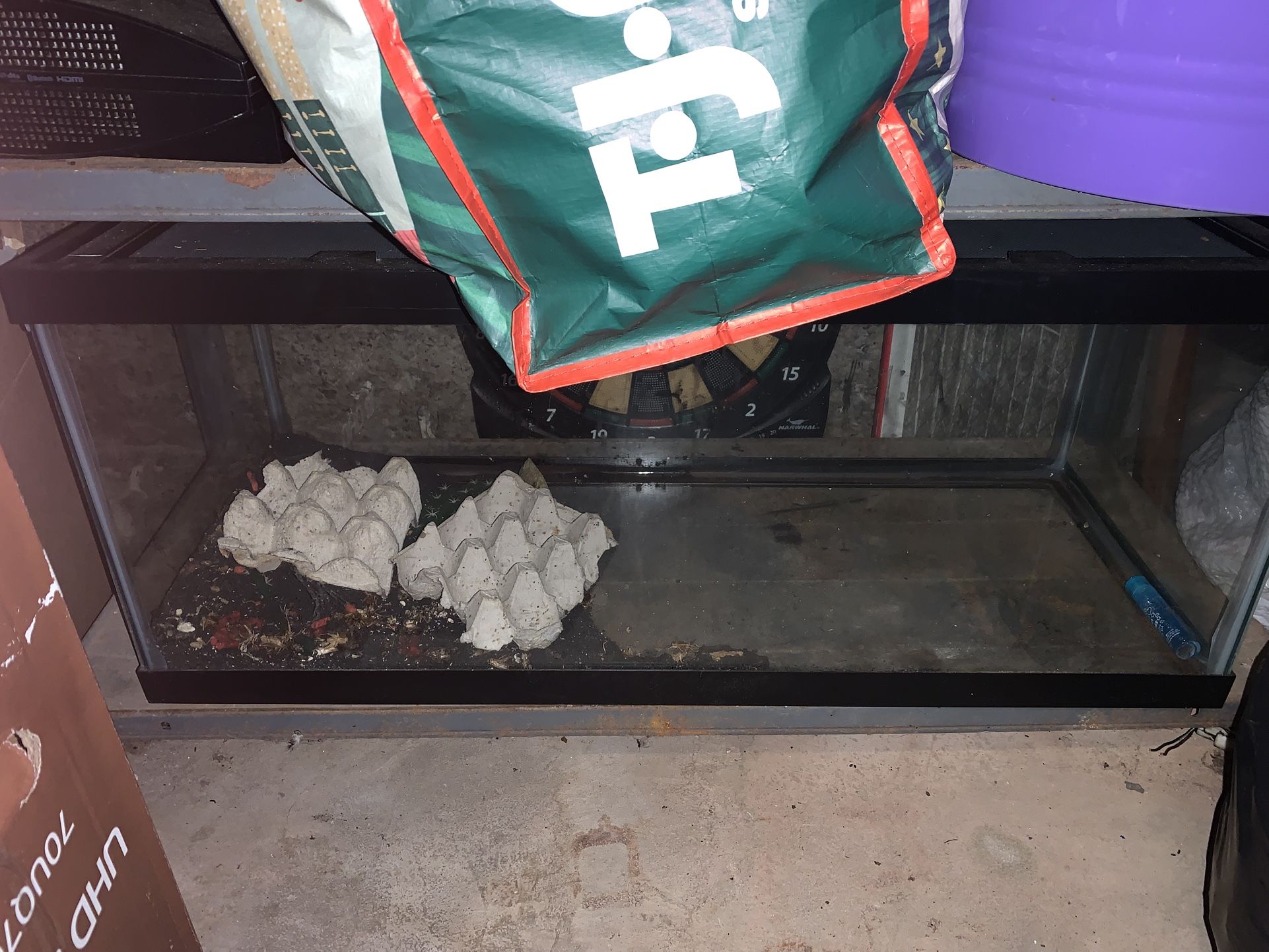 Reptile Tank