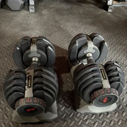 Bowflex SelectTech 552 Adjustable Dumbbells (Pair)