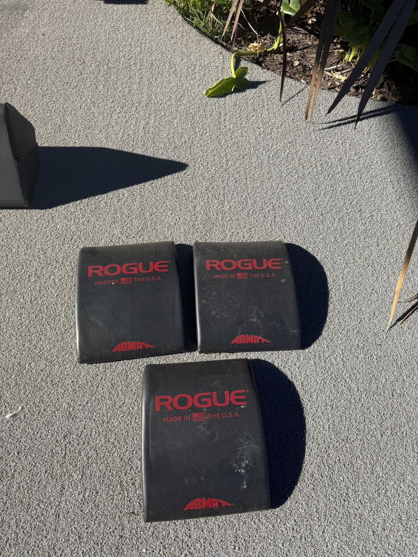 Rogue Ab Mats