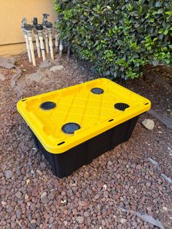 Roach colony for reptiles