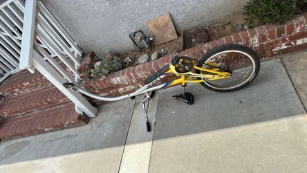Trek trailer bike