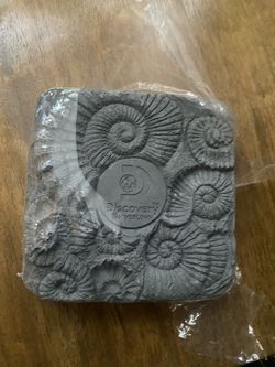 Discovery TV Mindblown Ammonite Fossil Replica Block