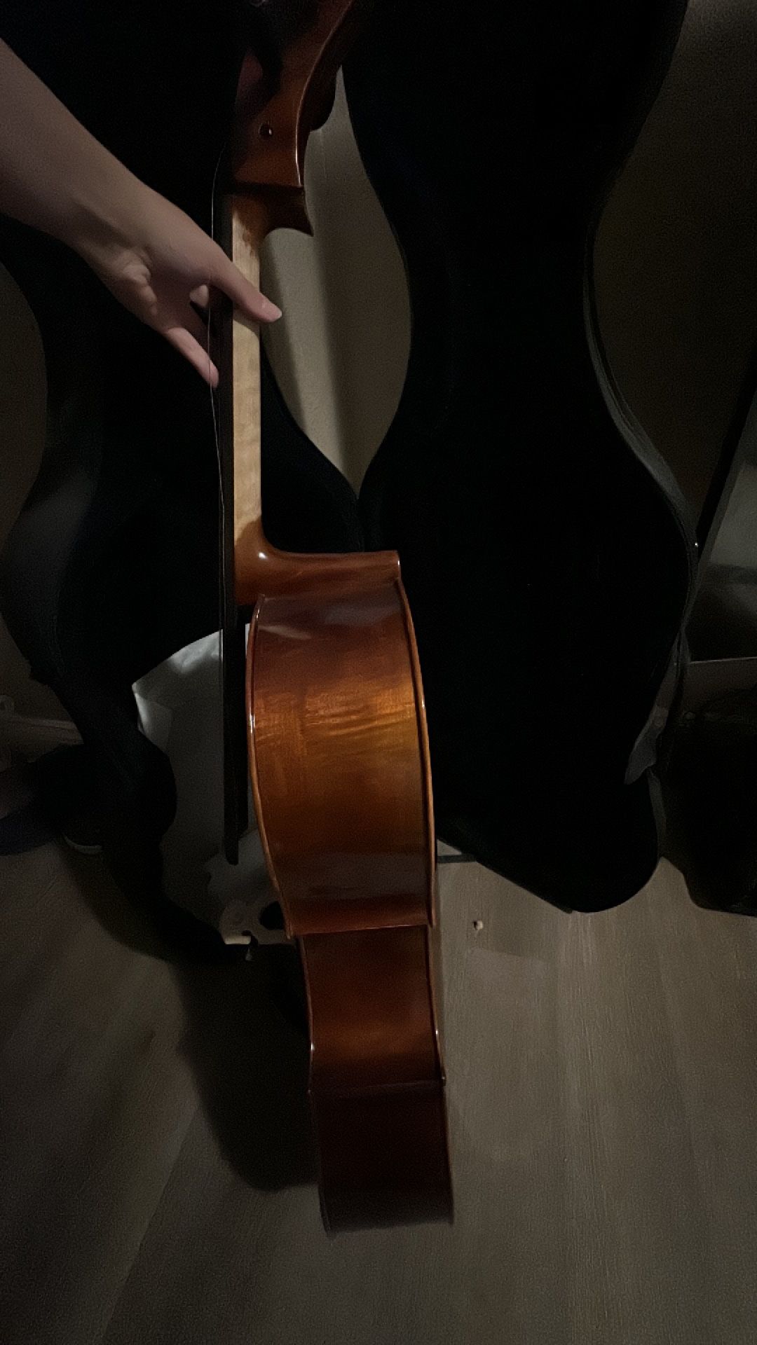 Fiddlermen Artist Cello