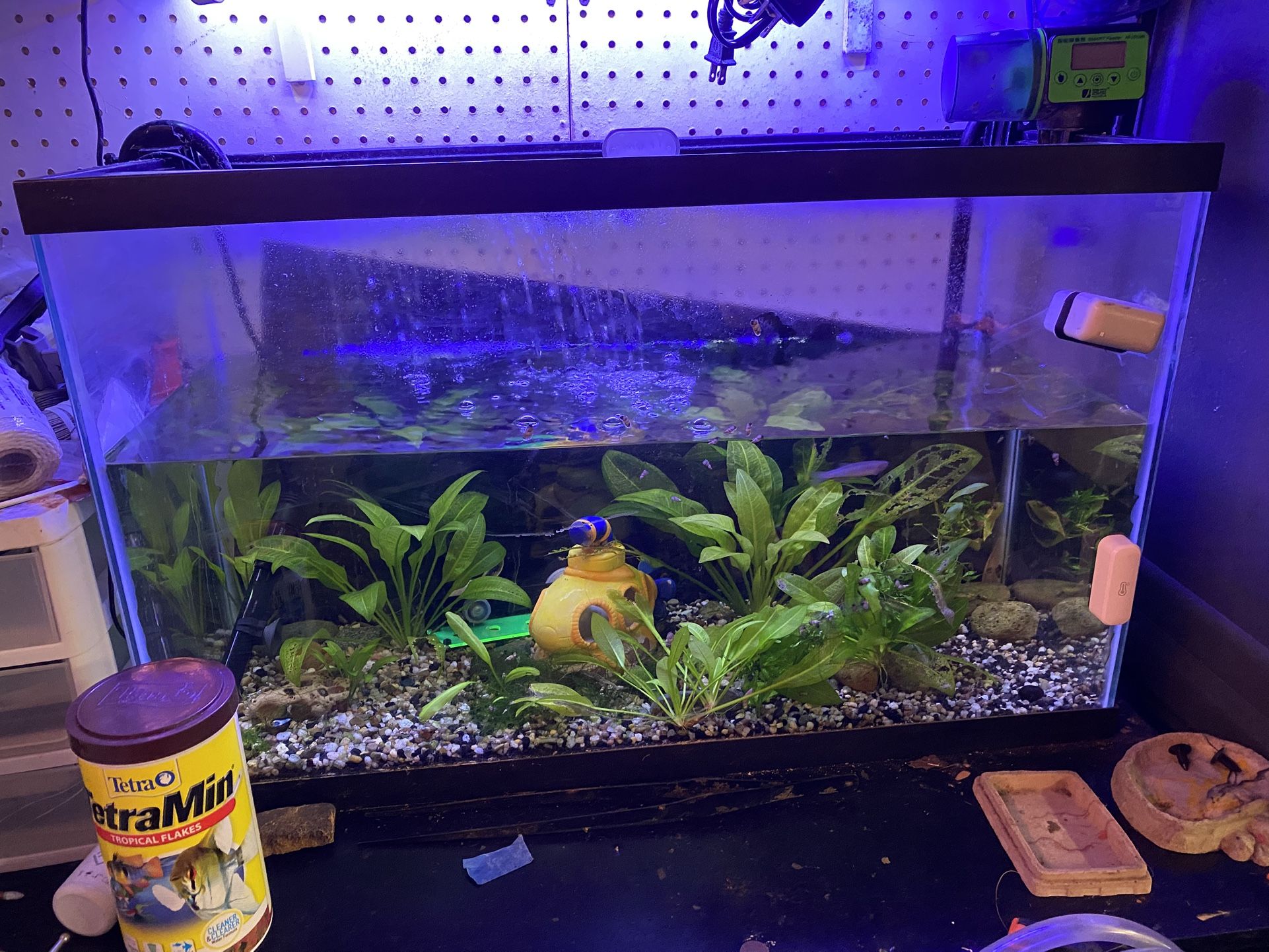 28 Gallon Fish Tank With Magniflow 220 Filter System