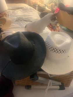Cowgirl hats