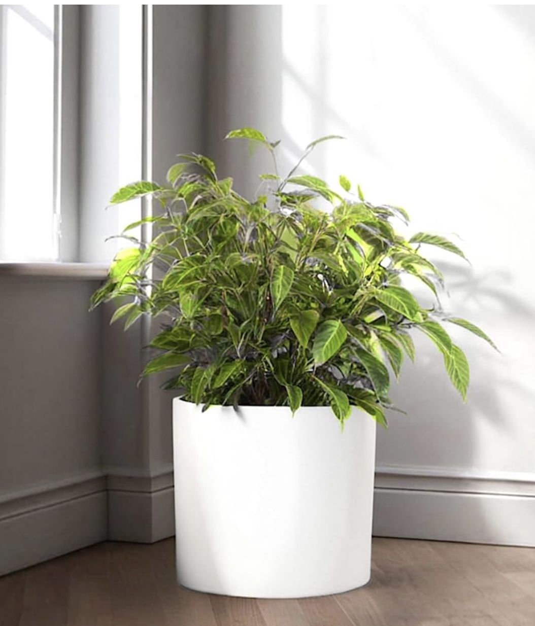Fox & Fern 10 Inch Plant Pot with Drainage - Premium Lightweight Fiberstone Matte White Plant Pot