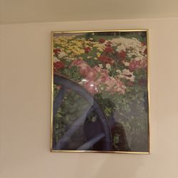 Beautiful Flowers Picture
