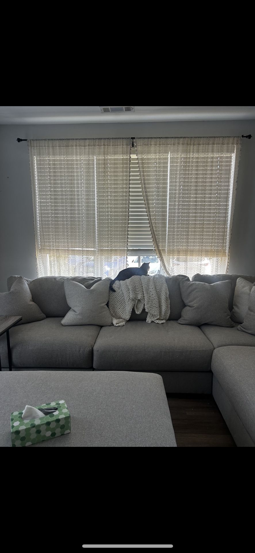 Ashley’s Sectional Couch 