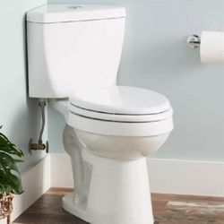 Corner Toilet (Signature Hardware)