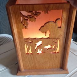 Hand Made Light Up Display 
