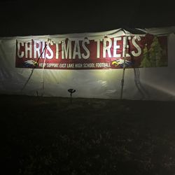 Christmas Trees! 50 Oboe