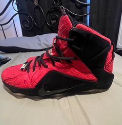 Used LeBrons