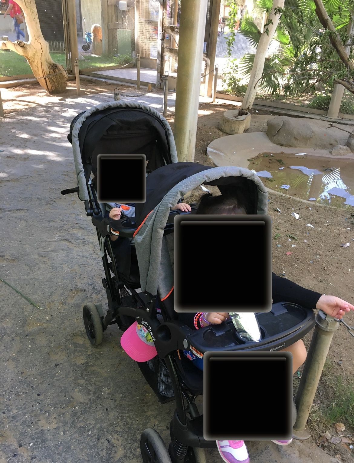 Double Stroller