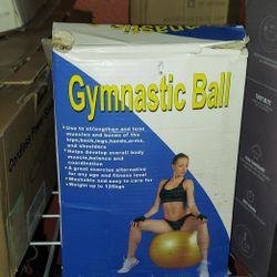 Gymnastic Ball $5