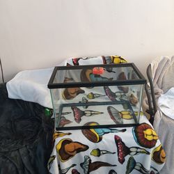 20gal. aquarium or terrarium
